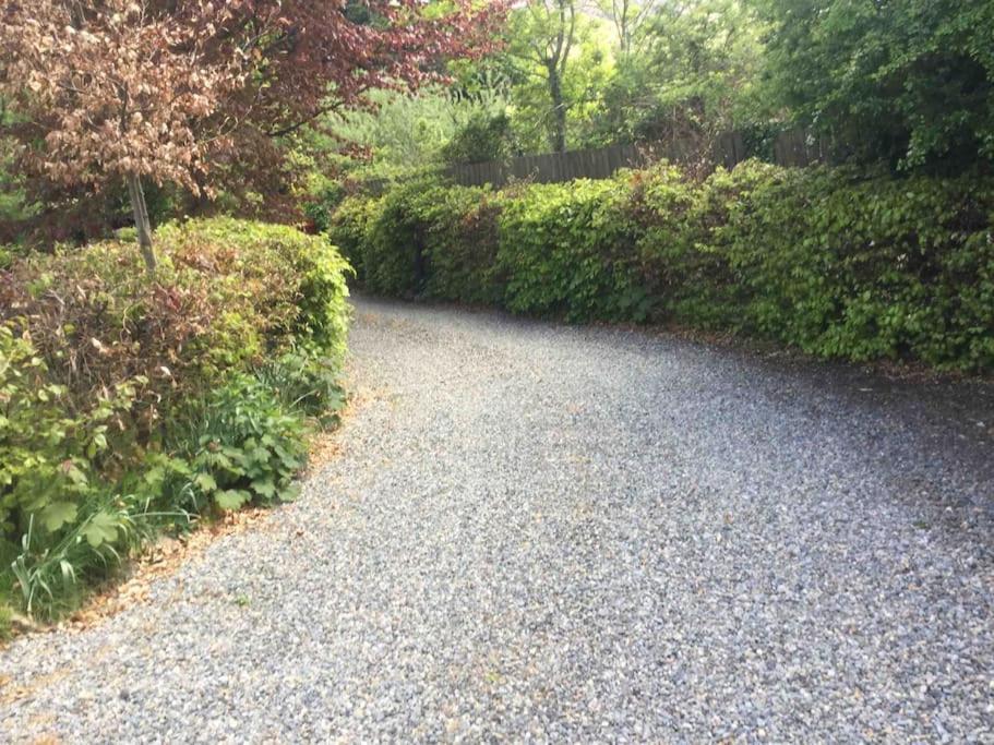An Bothan-Cosy Cottage In The Cooley Mountains Dundalk Exterior photo